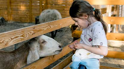 school-and-group-visits